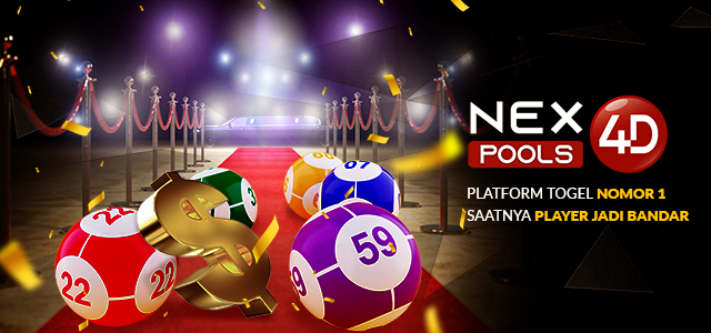 Nex4D Pools Official Launch